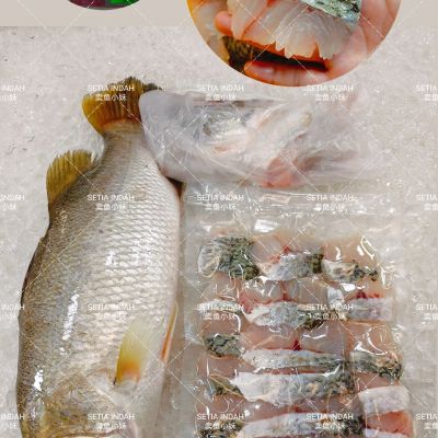 FISH Shabu-Shabu 鲈鱼肉片