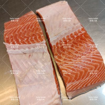NORWEGIAN SALMON Fillet 三文鱼排