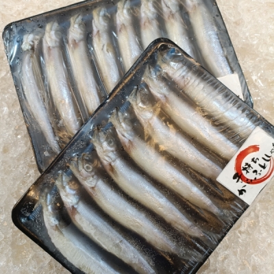 Shishamo Fish 多春鱼