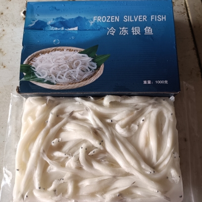 Silver Fish 银鱼