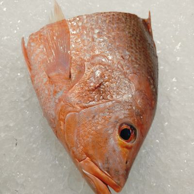 Red Snapper Fish Head 红鱼头