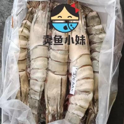 Wild Gaint Tiger Prawn 野生大虎虾