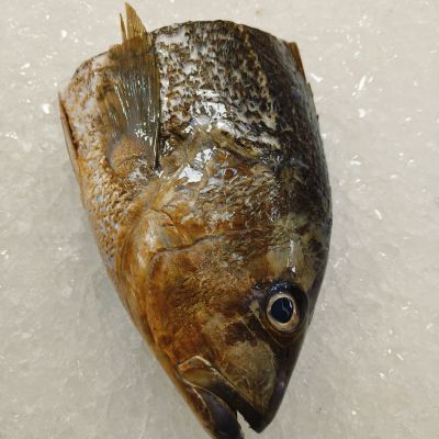 Golden Snapper Fish Head 金枣鱼头